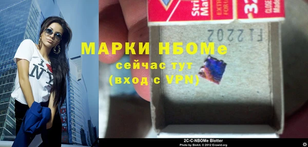 индика Карпинск