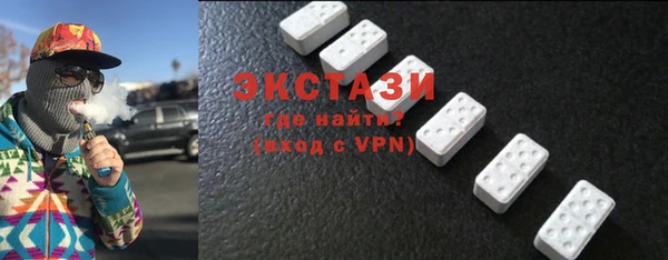 индика Карпинск