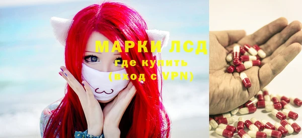индика Карпинск