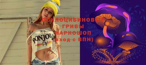 индика Карпинск