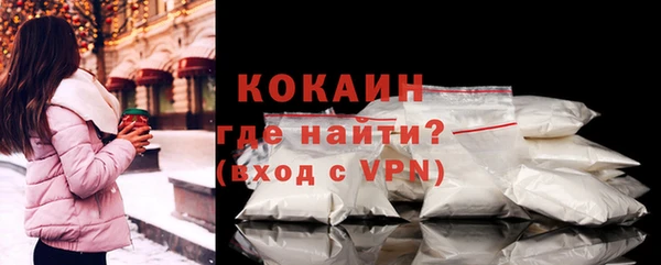 индика Карпинск