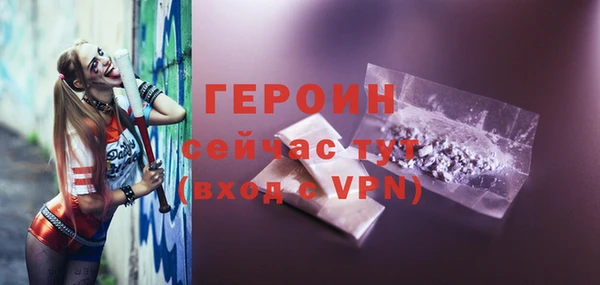 индика Карпинск