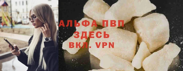 индика Карпинск