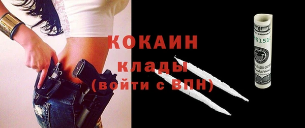 индика Карпинск