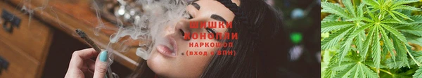 индика Карпинск
