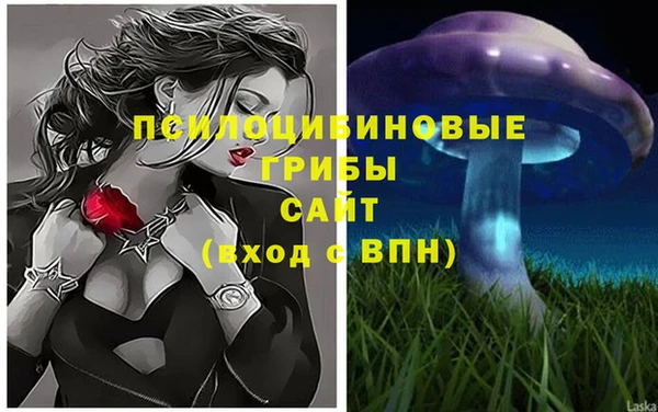 хмурый Карталы
