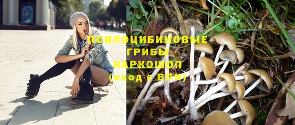 apvp Касимов