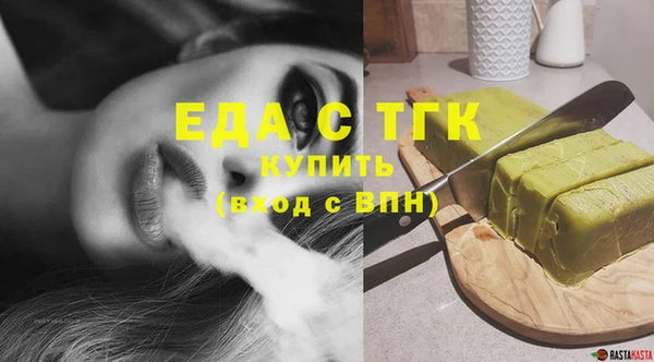 индика Карпинск