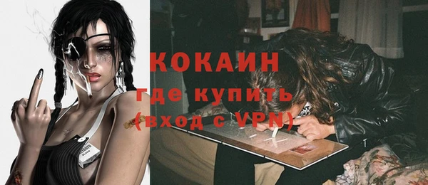 индика Карпинск