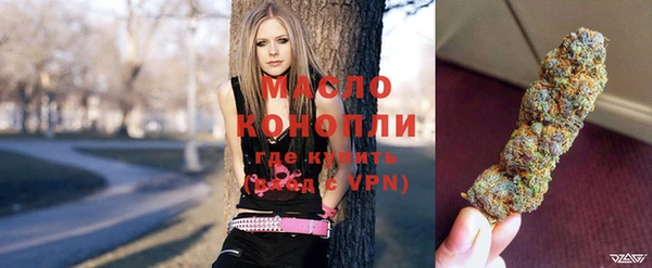 индика Карпинск