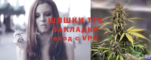 индика Карпинск